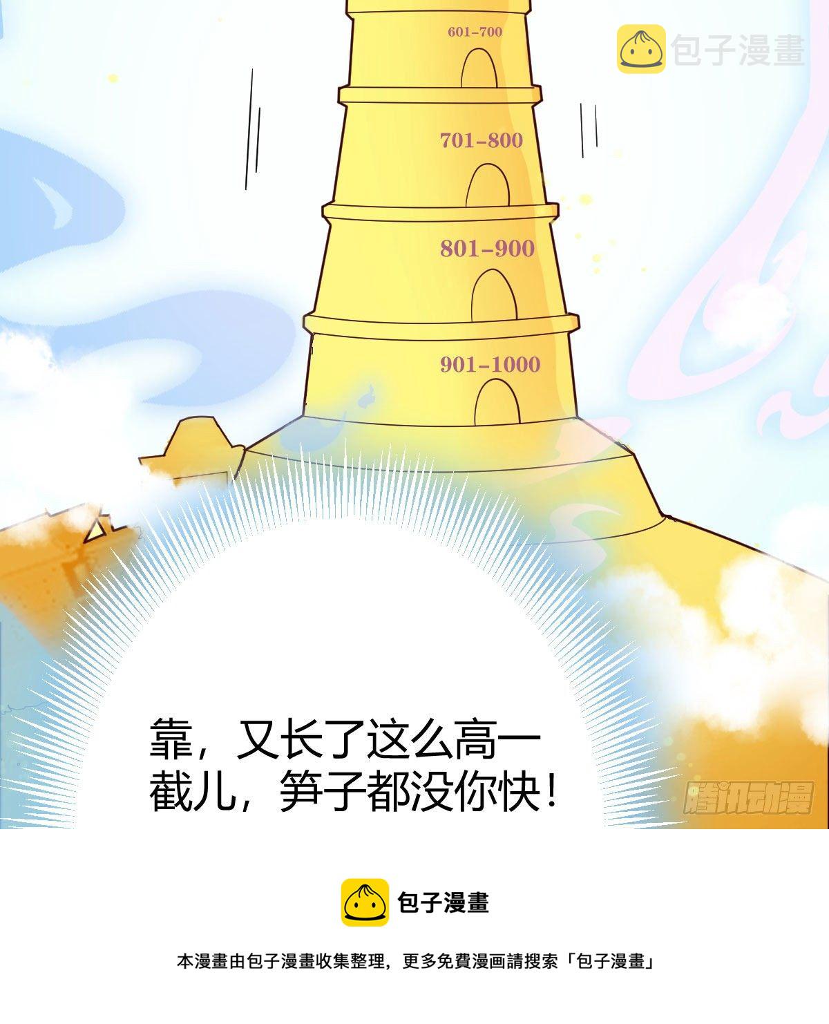 内府金丹80
