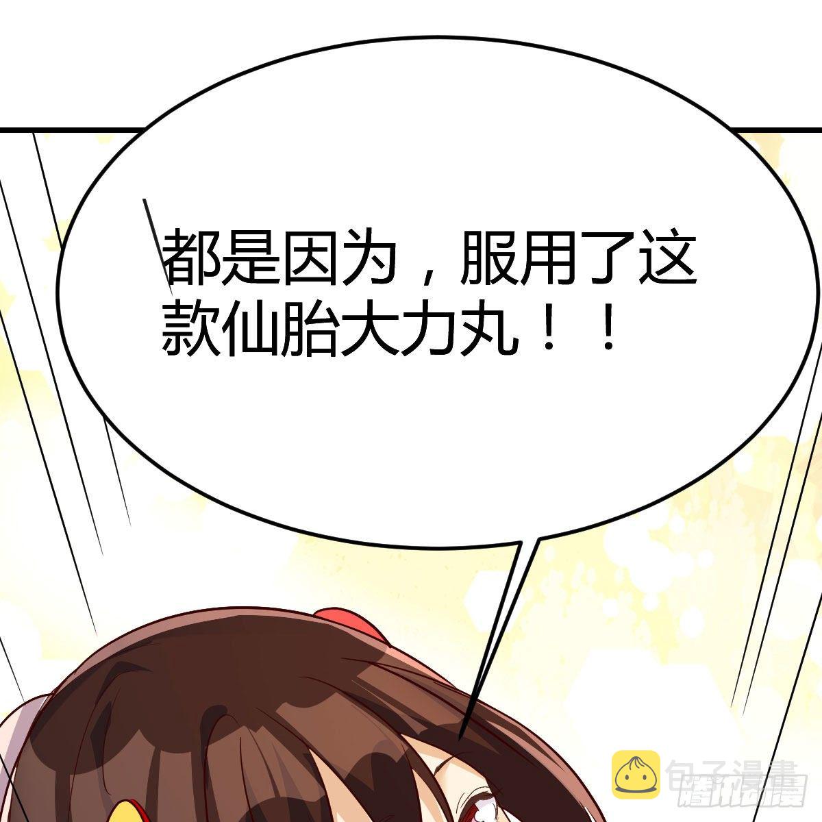 仙胎大力丸63