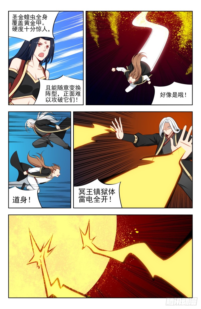 227圣金蝗虫8