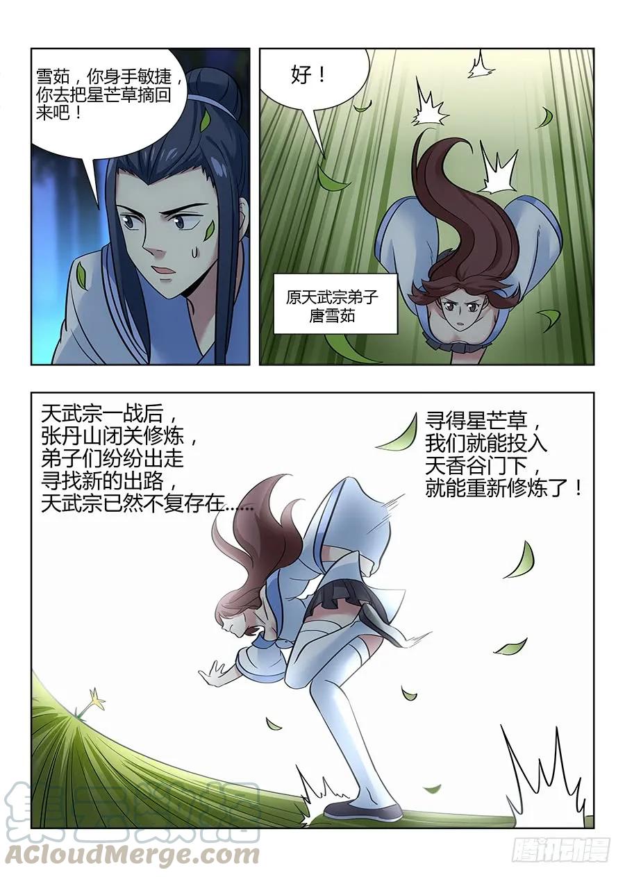 049星芒草里真的有星芒吗？3
