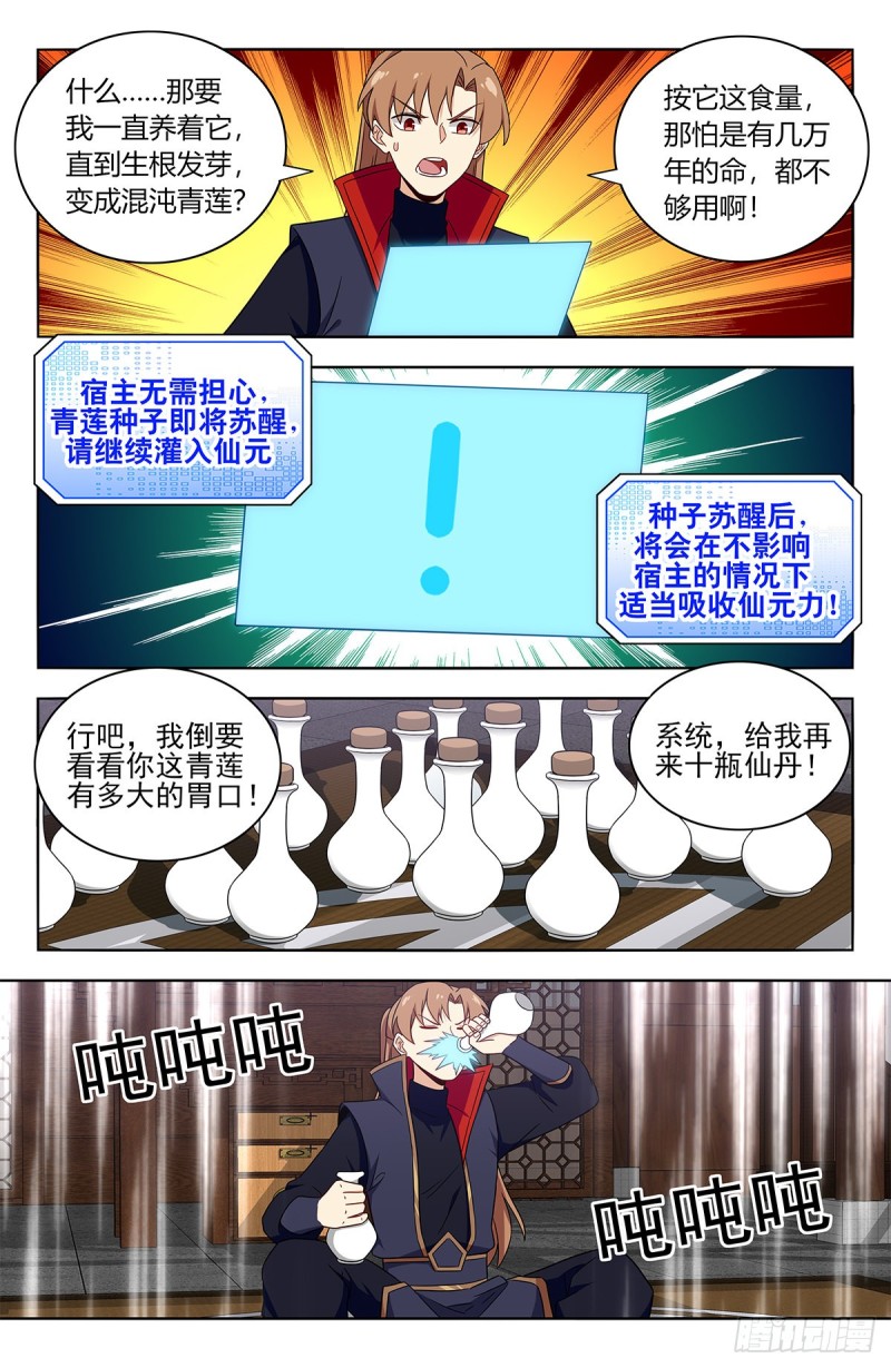 385青莲种子6