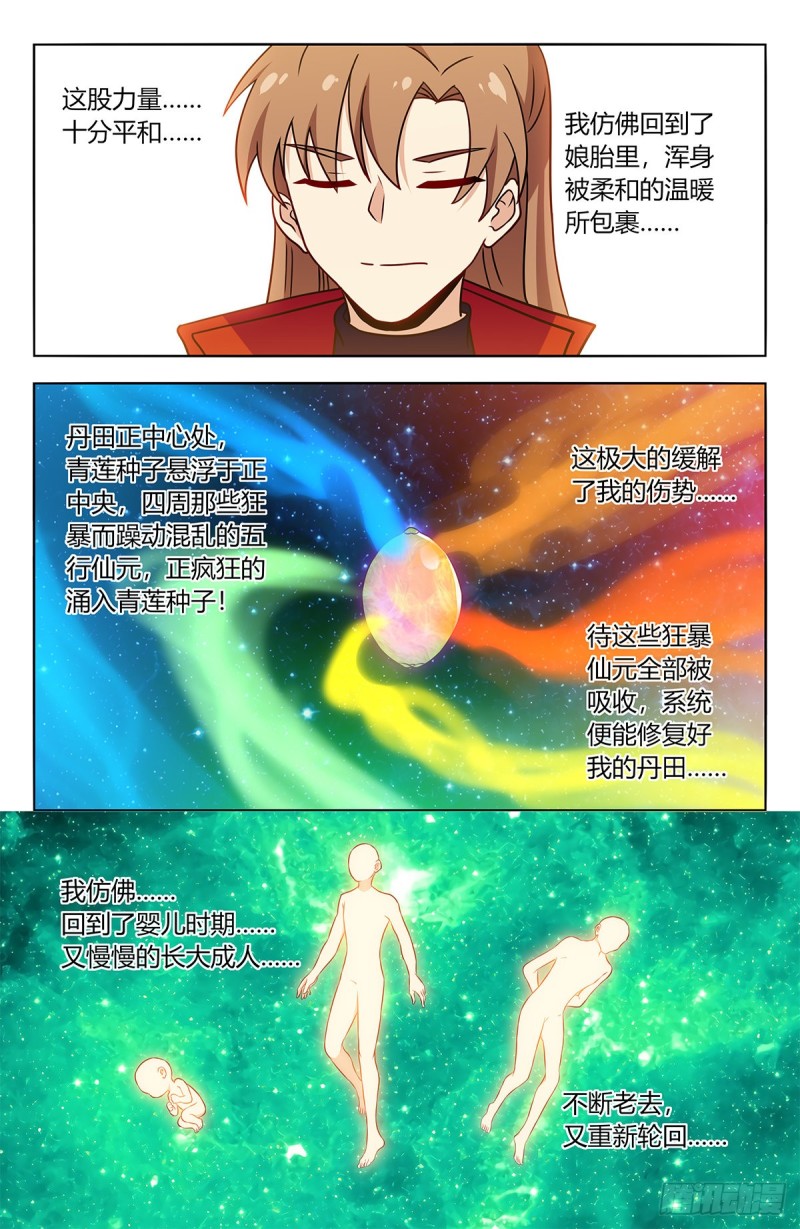 385青莲种子2