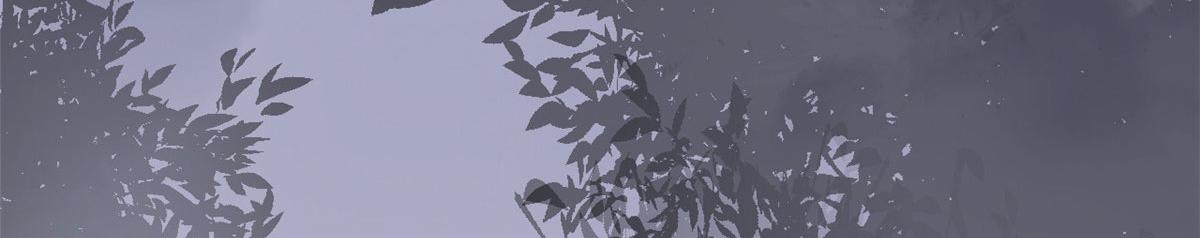 36082