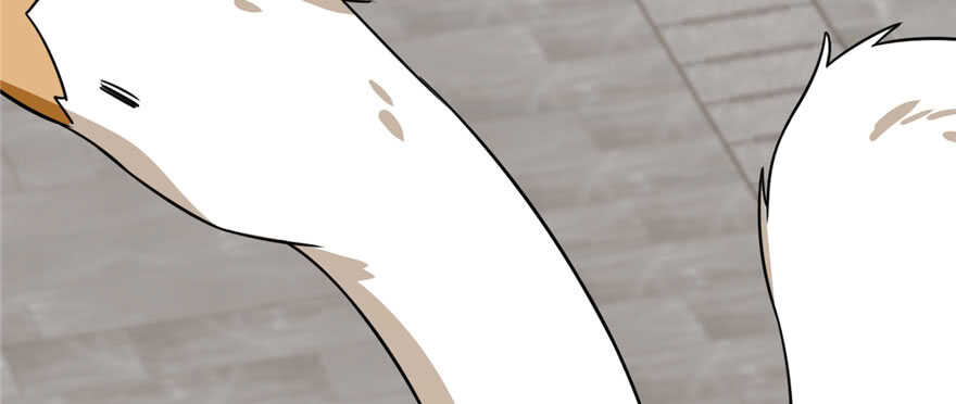 第91话165