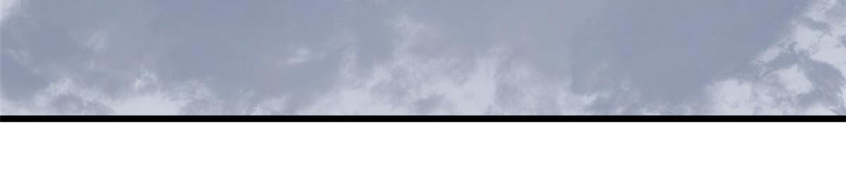 36295