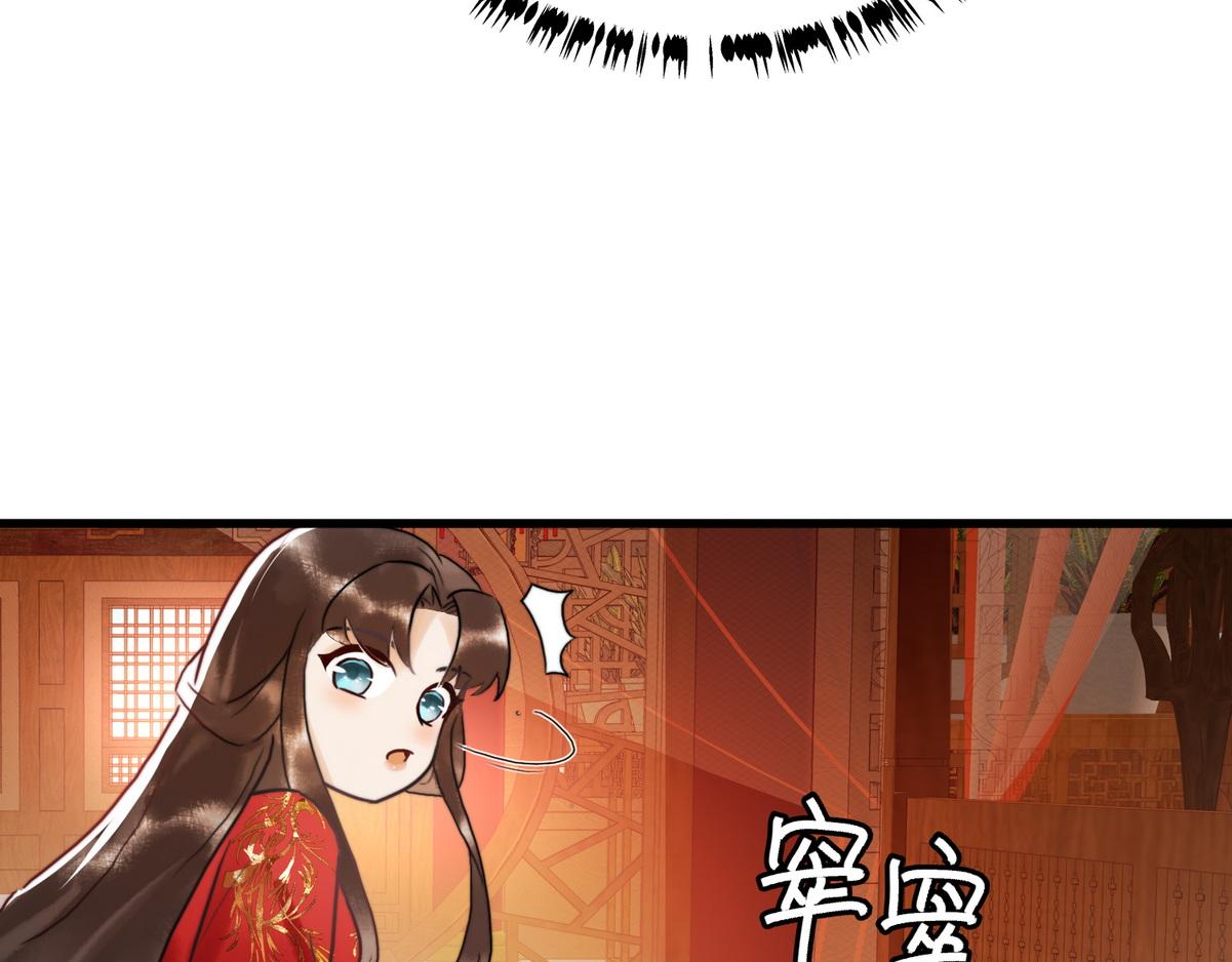 第1话 “傻子”王妃32