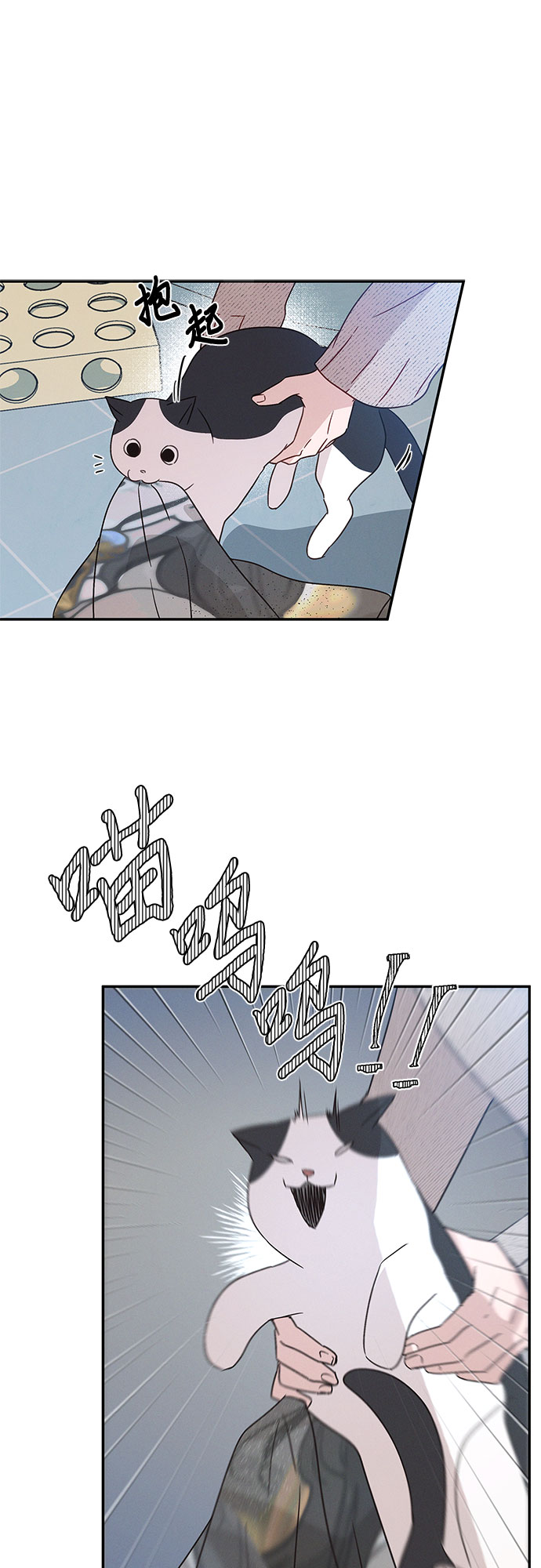 第35话47