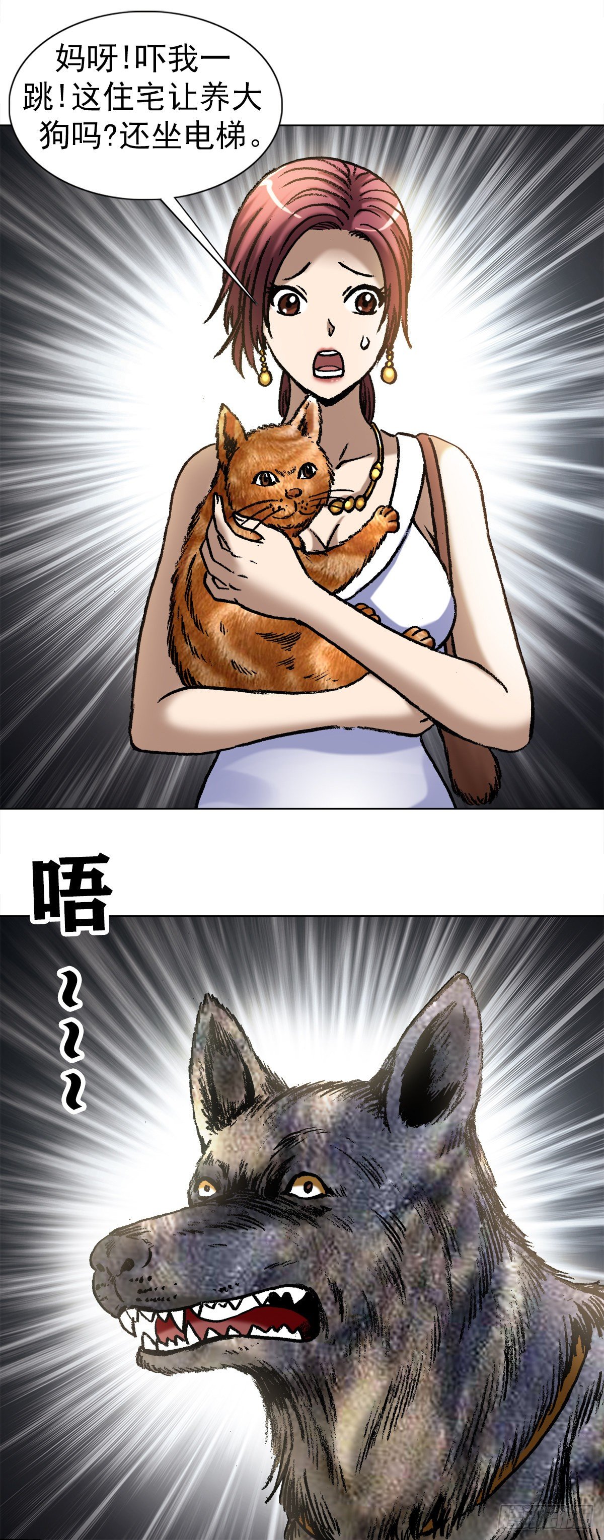 1019 猫11