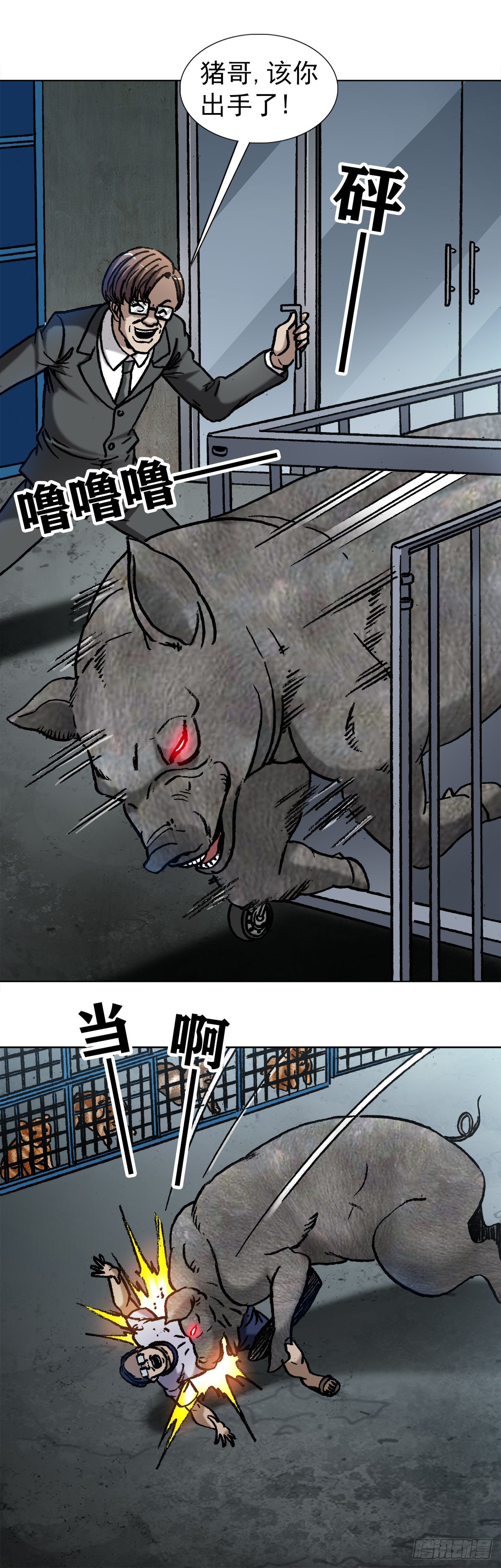 1030 大黑猪5
