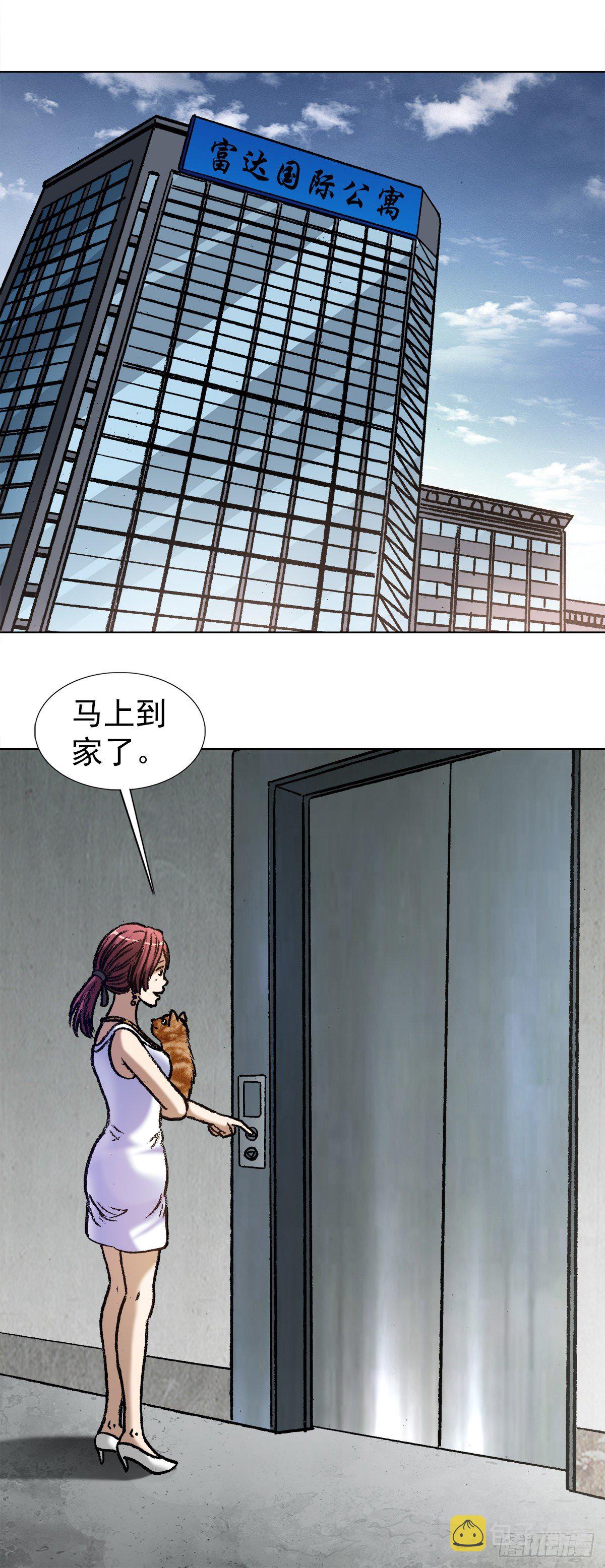 1019 猫9