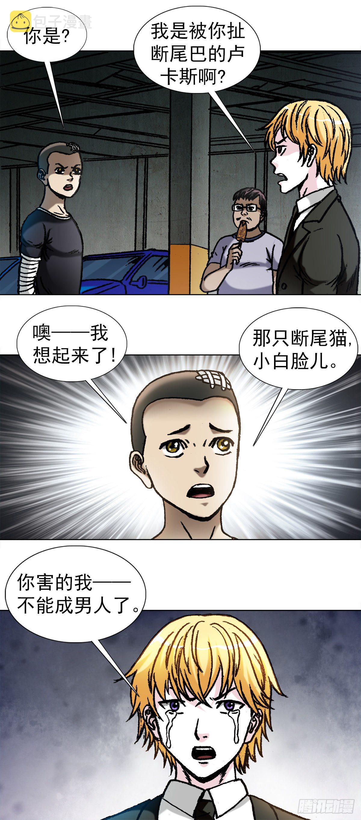 1057 猫三狗四5