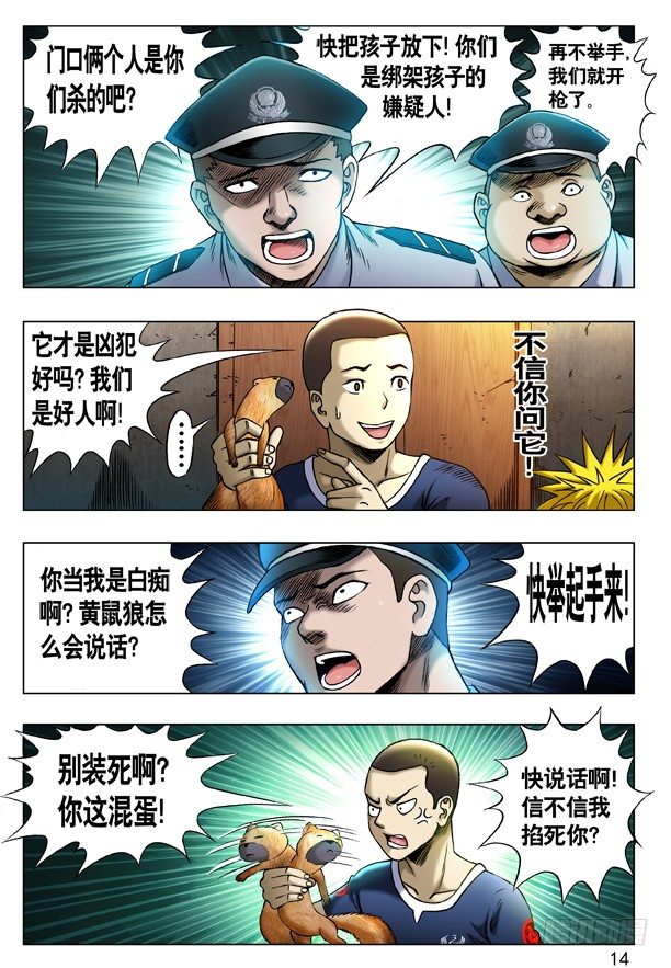 204 审训5