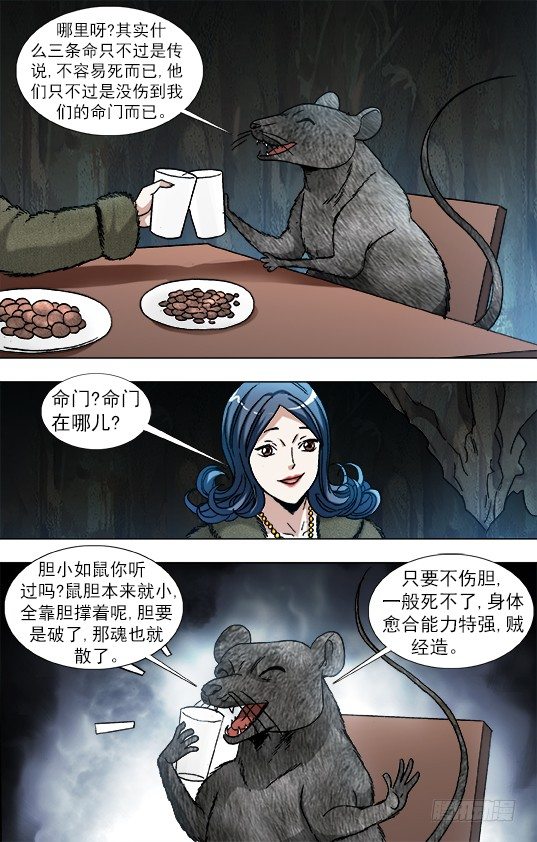 870 猫和老鼠8