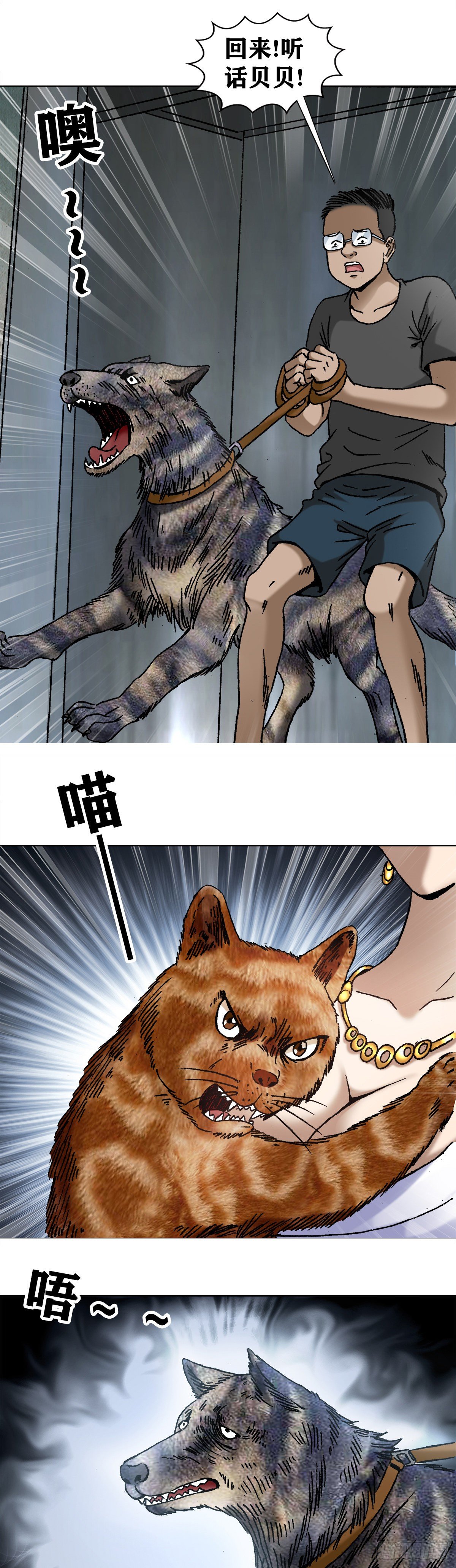 1020  小奶狗1