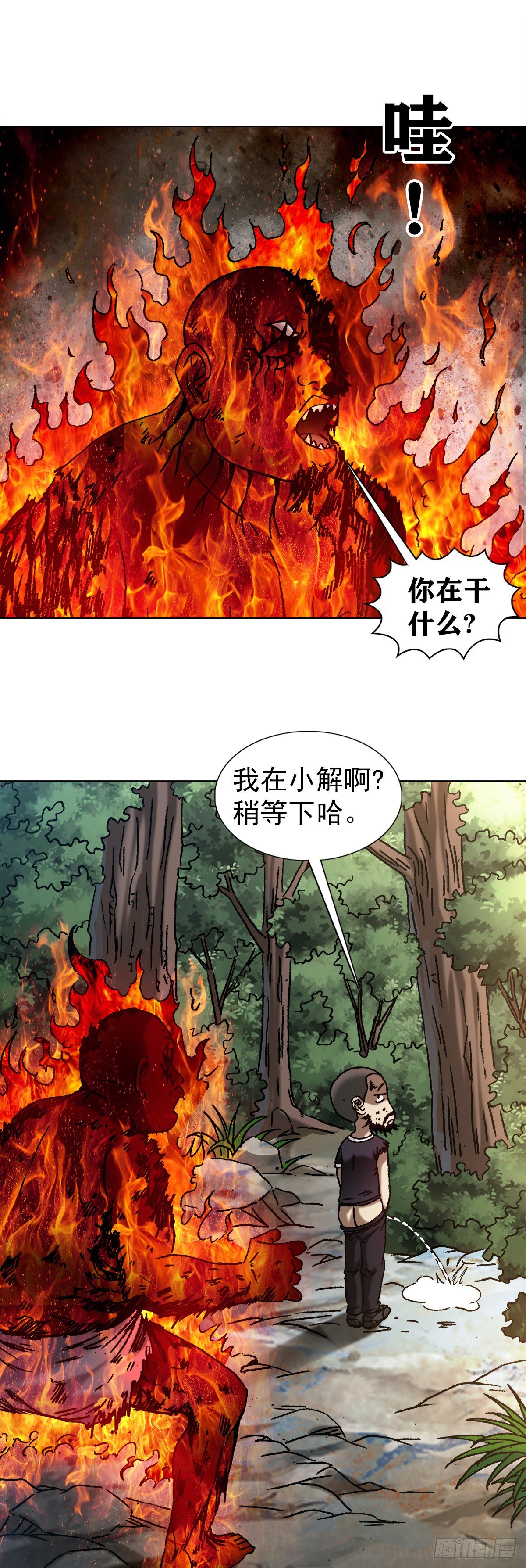 1263 火球18