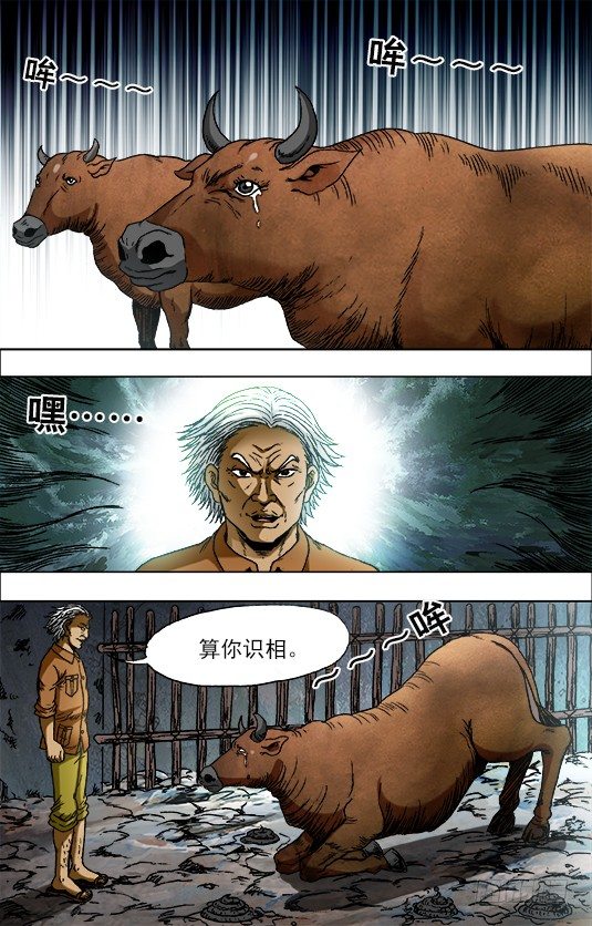 705 生吃牛肉2