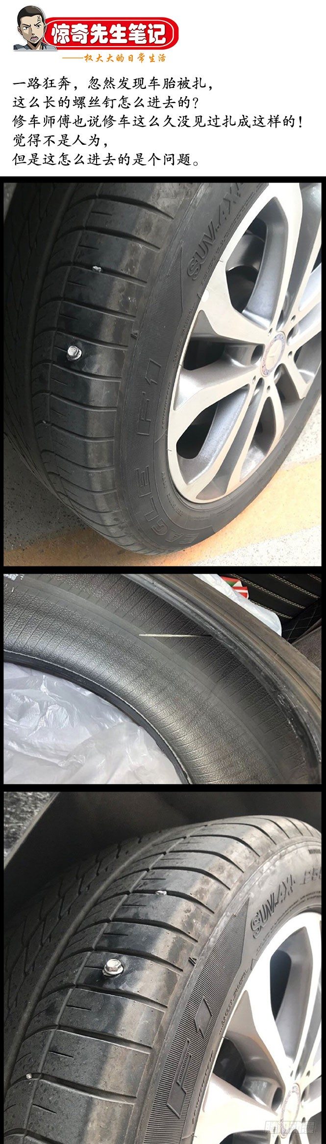 855 敲寡妇门10