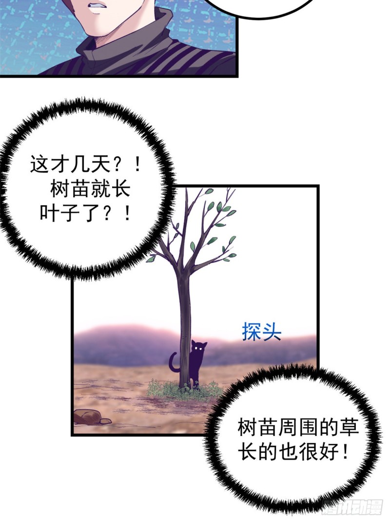 62 陈旭的惊喜26