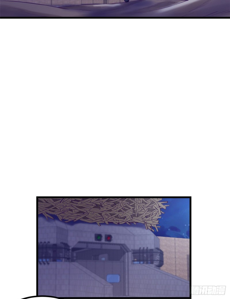 46 建造家园44