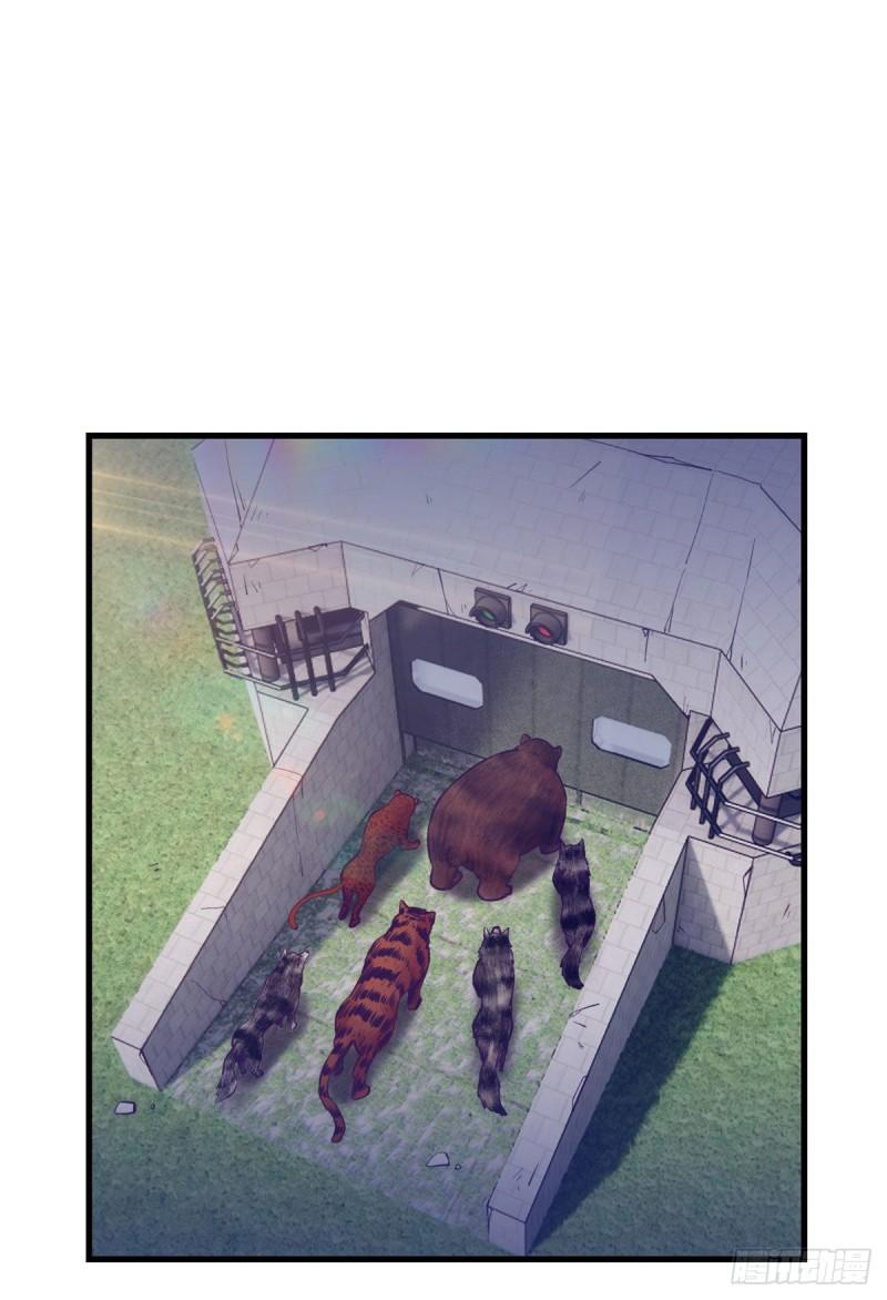 115 白色谎言9