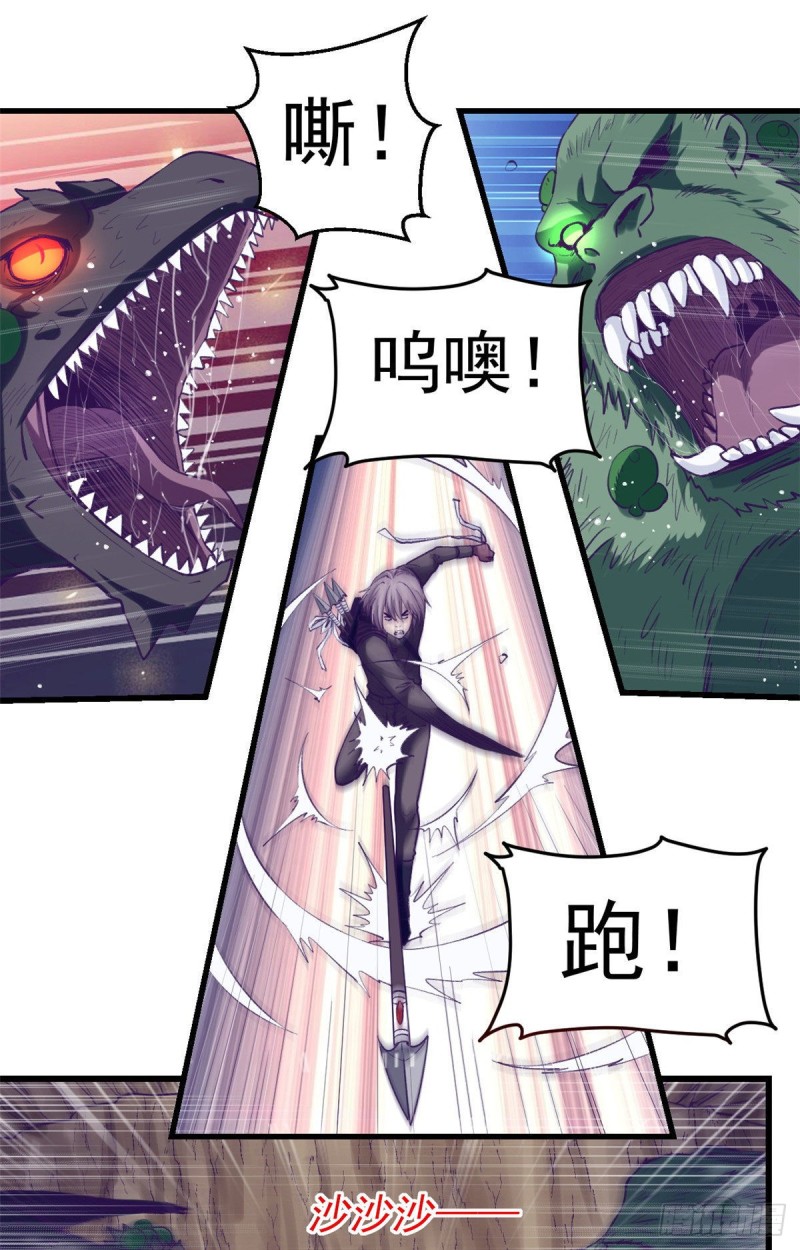 51 大显身手17