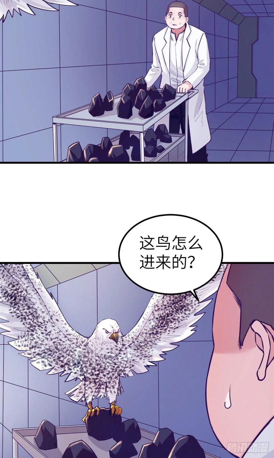119 反击与被反击13