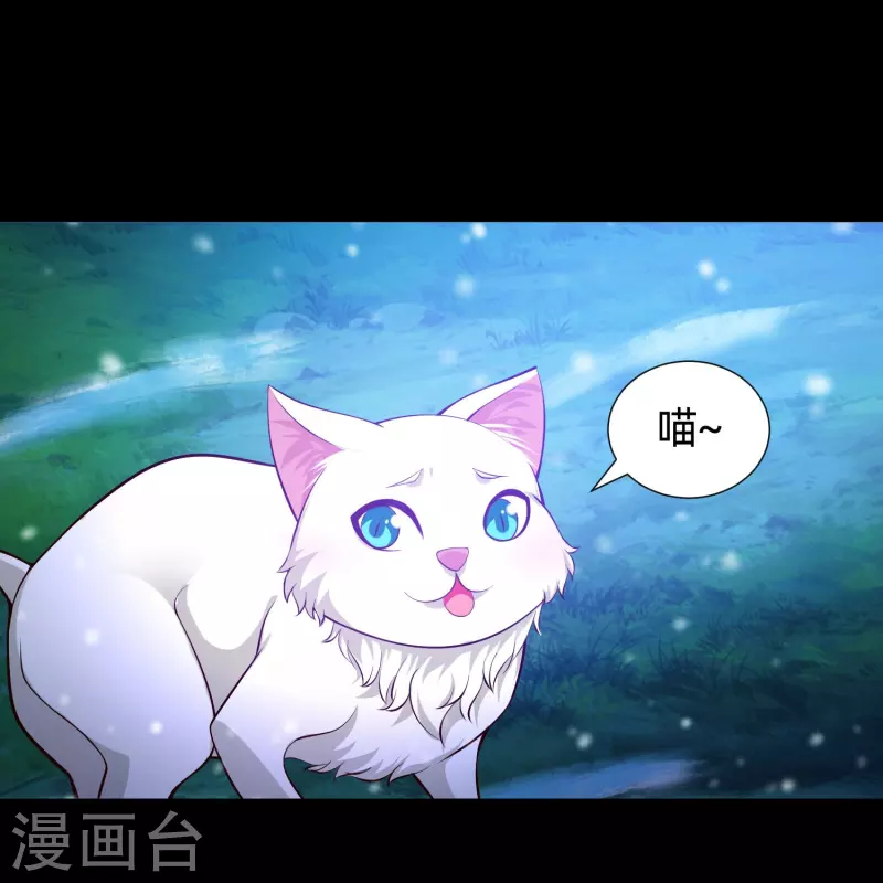 第77话 这是谁家的小猫咪！15