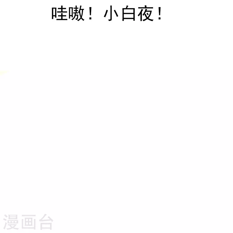 第31话 哇嗷！是小白夜！1