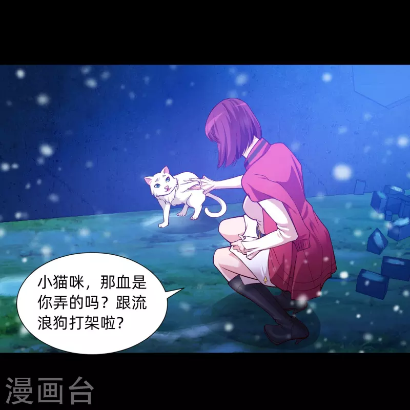 第77话 这是谁家的小猫咪！13