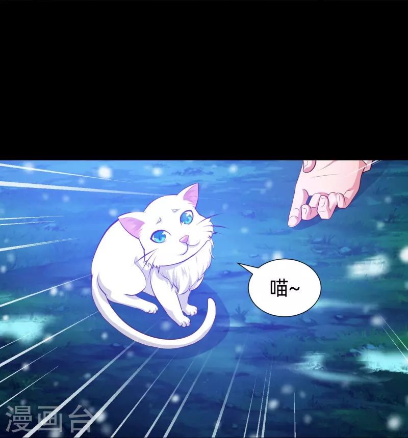 第77话 这是谁家的小猫咪！20