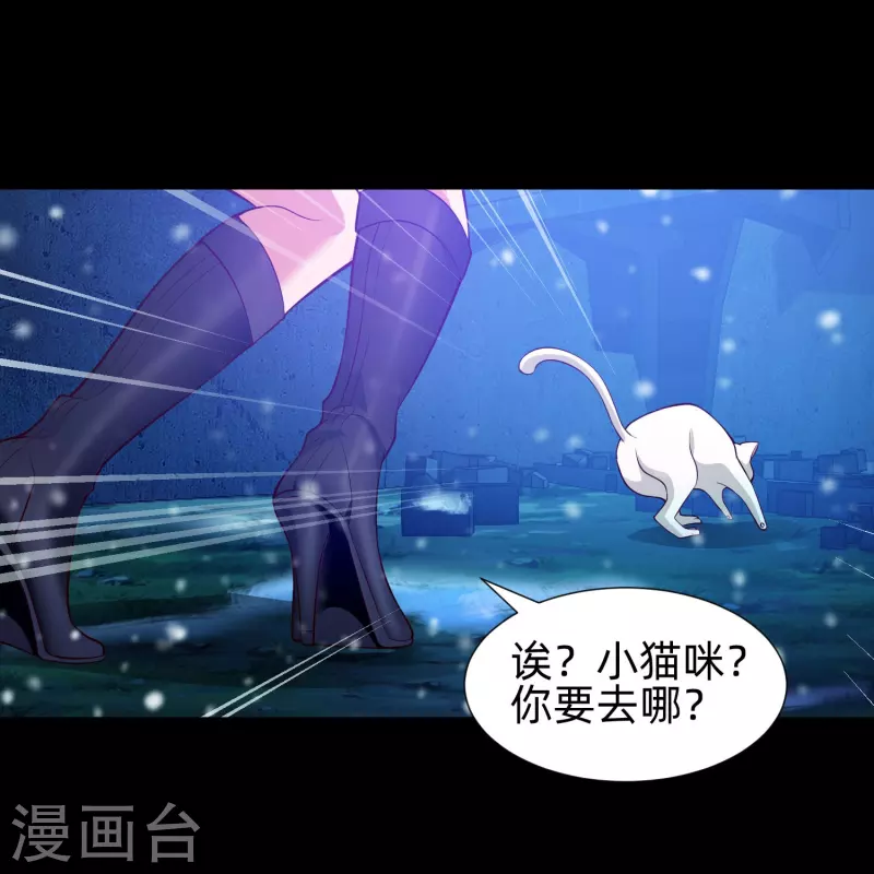 第77话 这是谁家的小猫咪！14