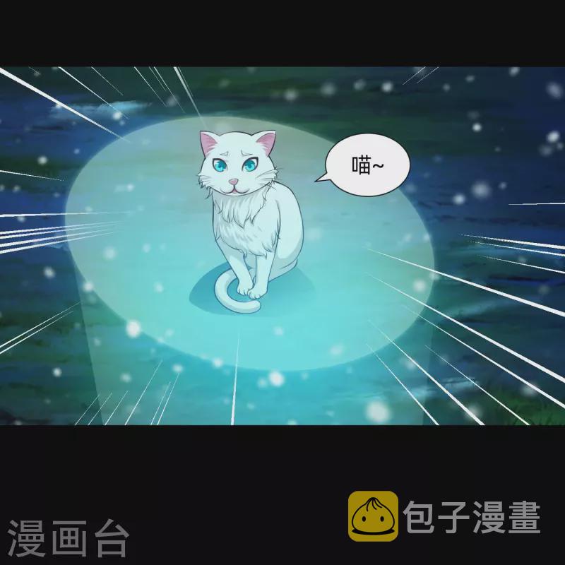 第77话 这是谁家的小猫咪！12