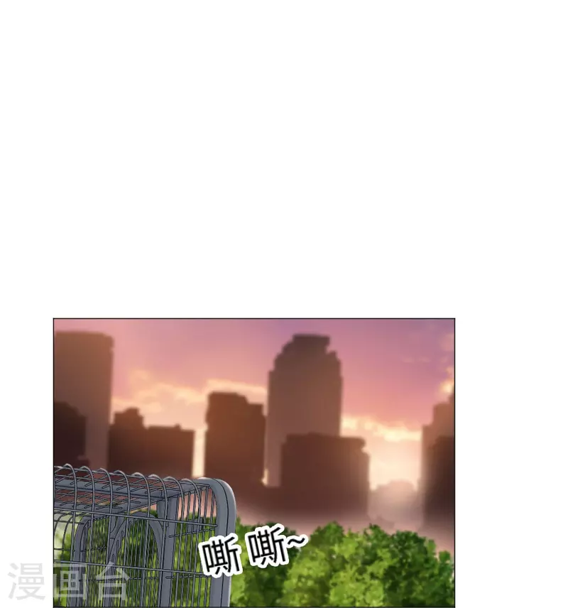 第49话 和西的约会~15