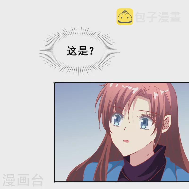 第49话 事关向以轩的安危11