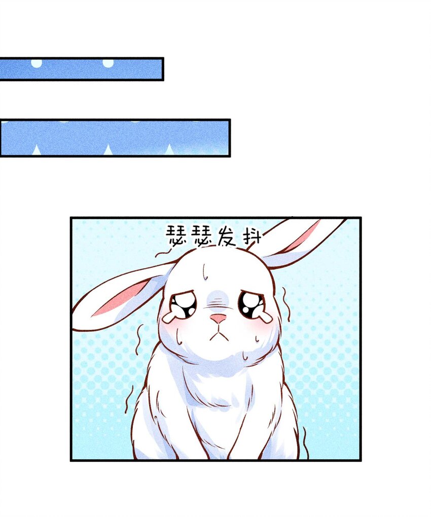 028 崽崽的木兔子42
