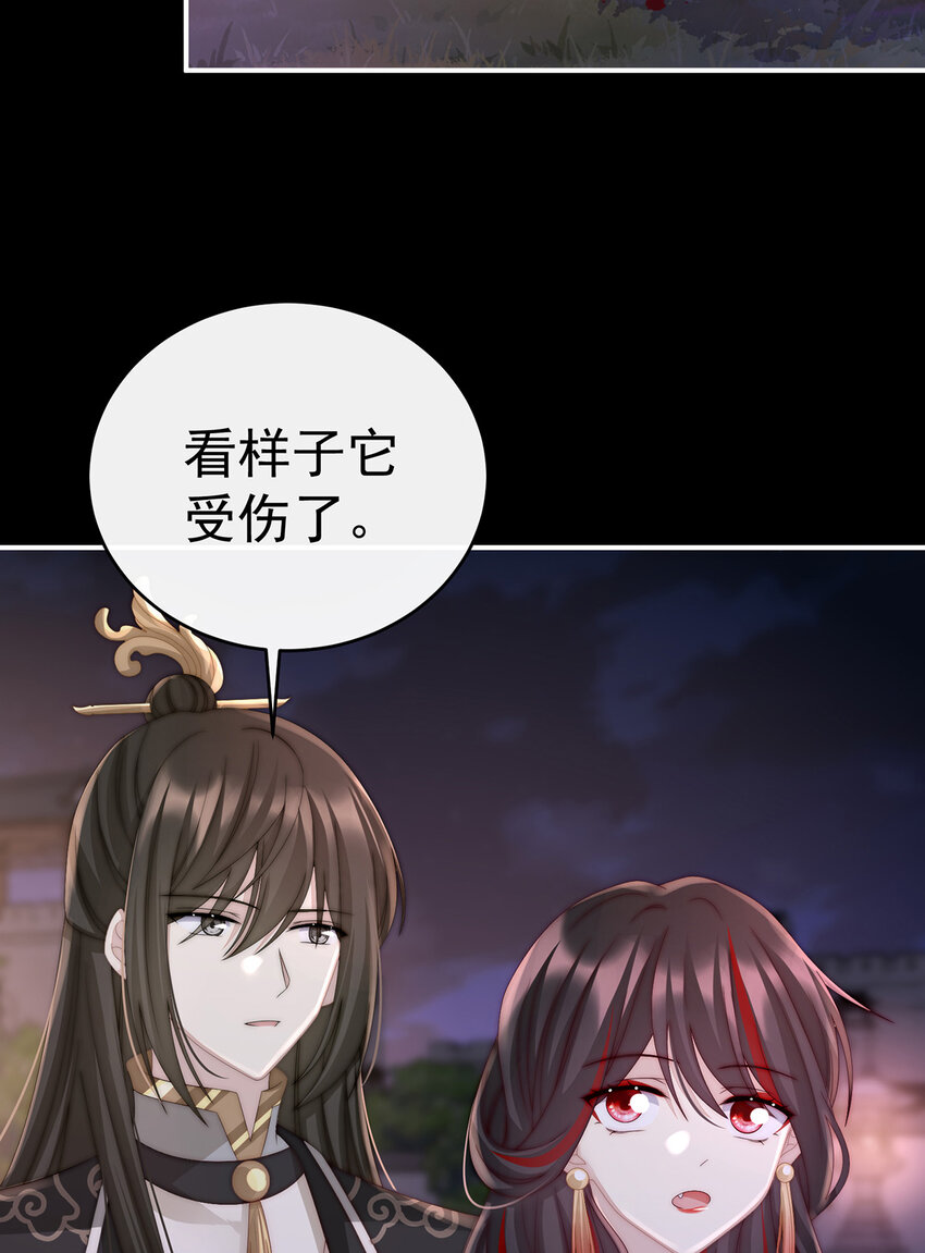 第19话 恶狼出没，小心！47