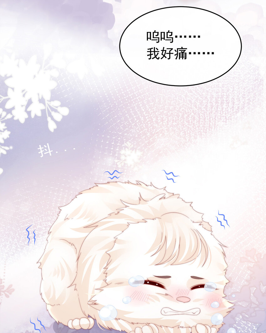 第26话 可怜的小毛团53
