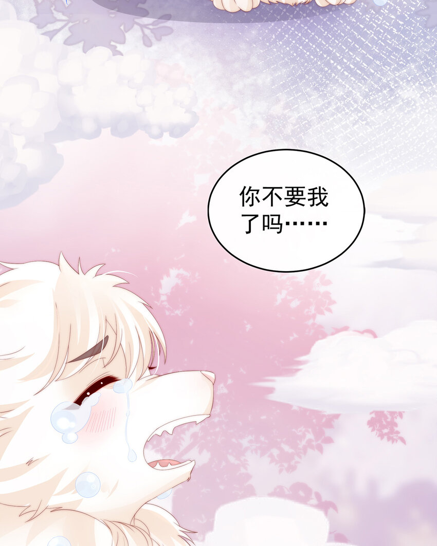 第26话 可怜的小毛团54