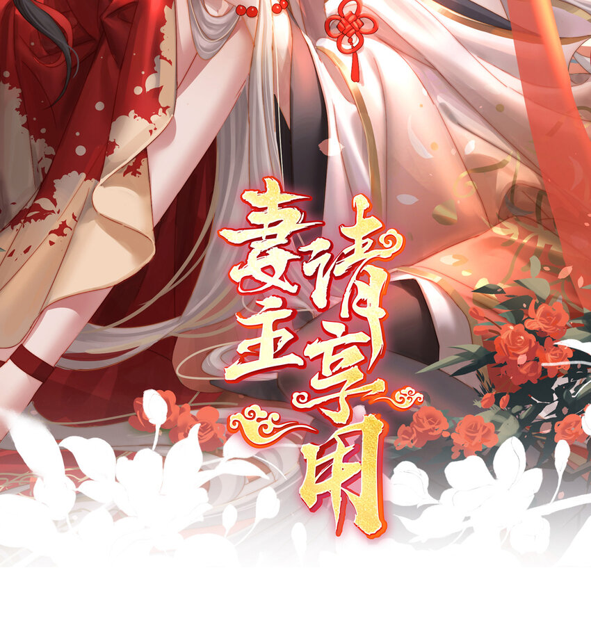第26话 可怜的小毛团1