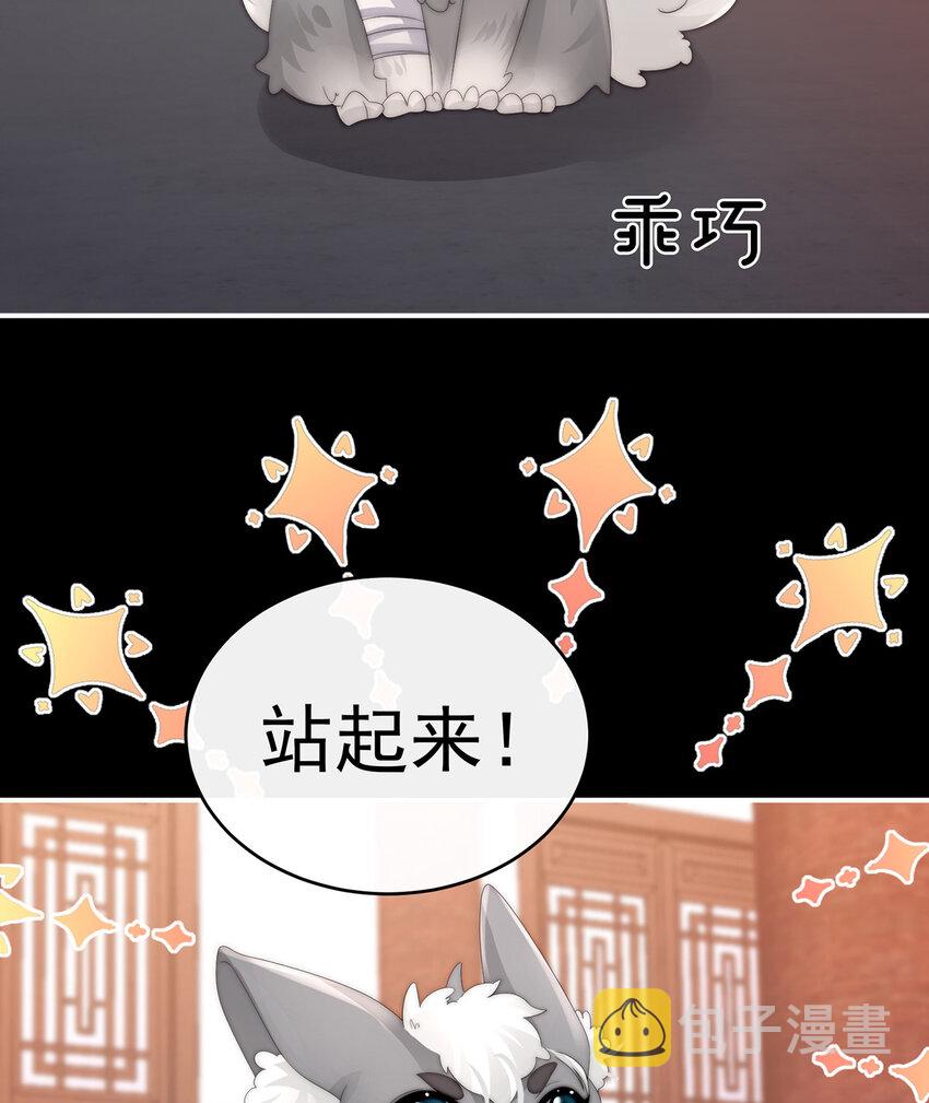第20话 白嫖一只狼崽39