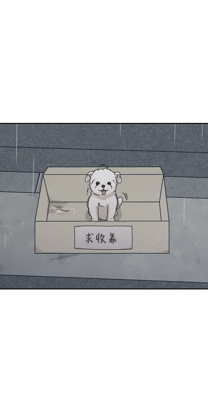 第31话27