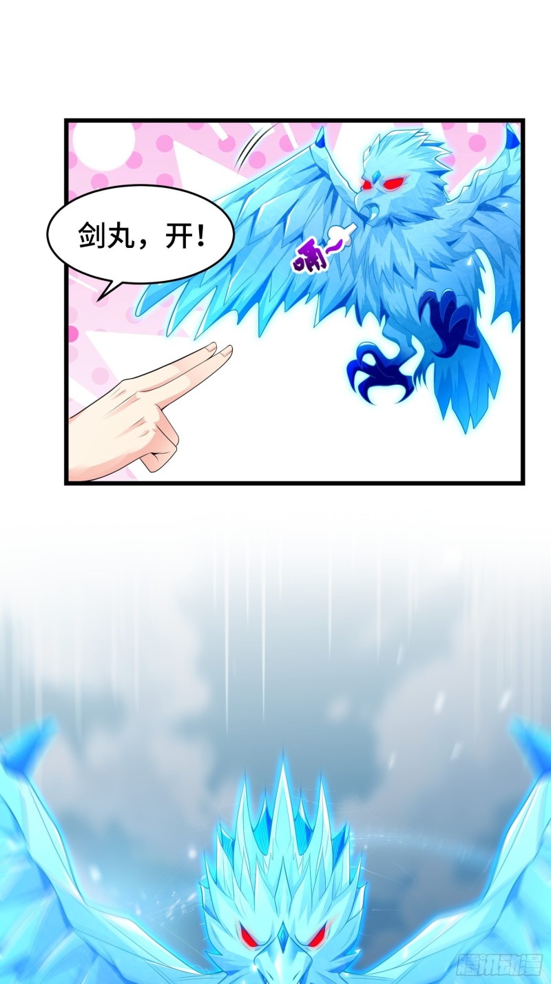雪原冰凤18
