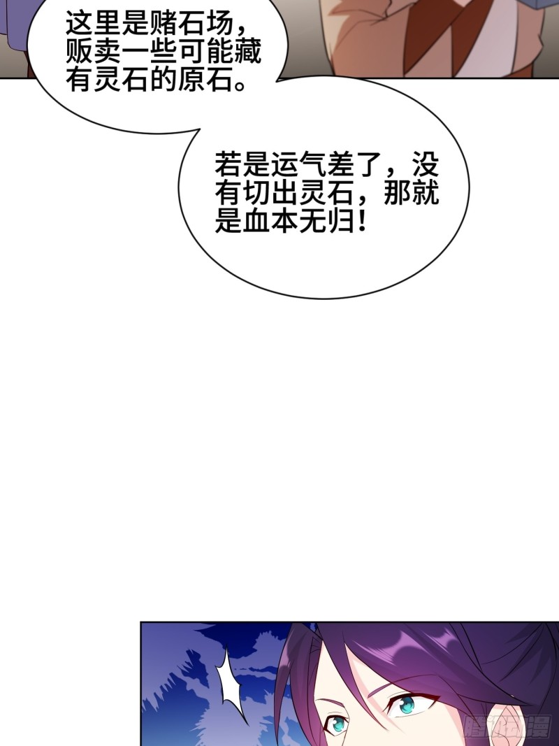 江都赌石王14