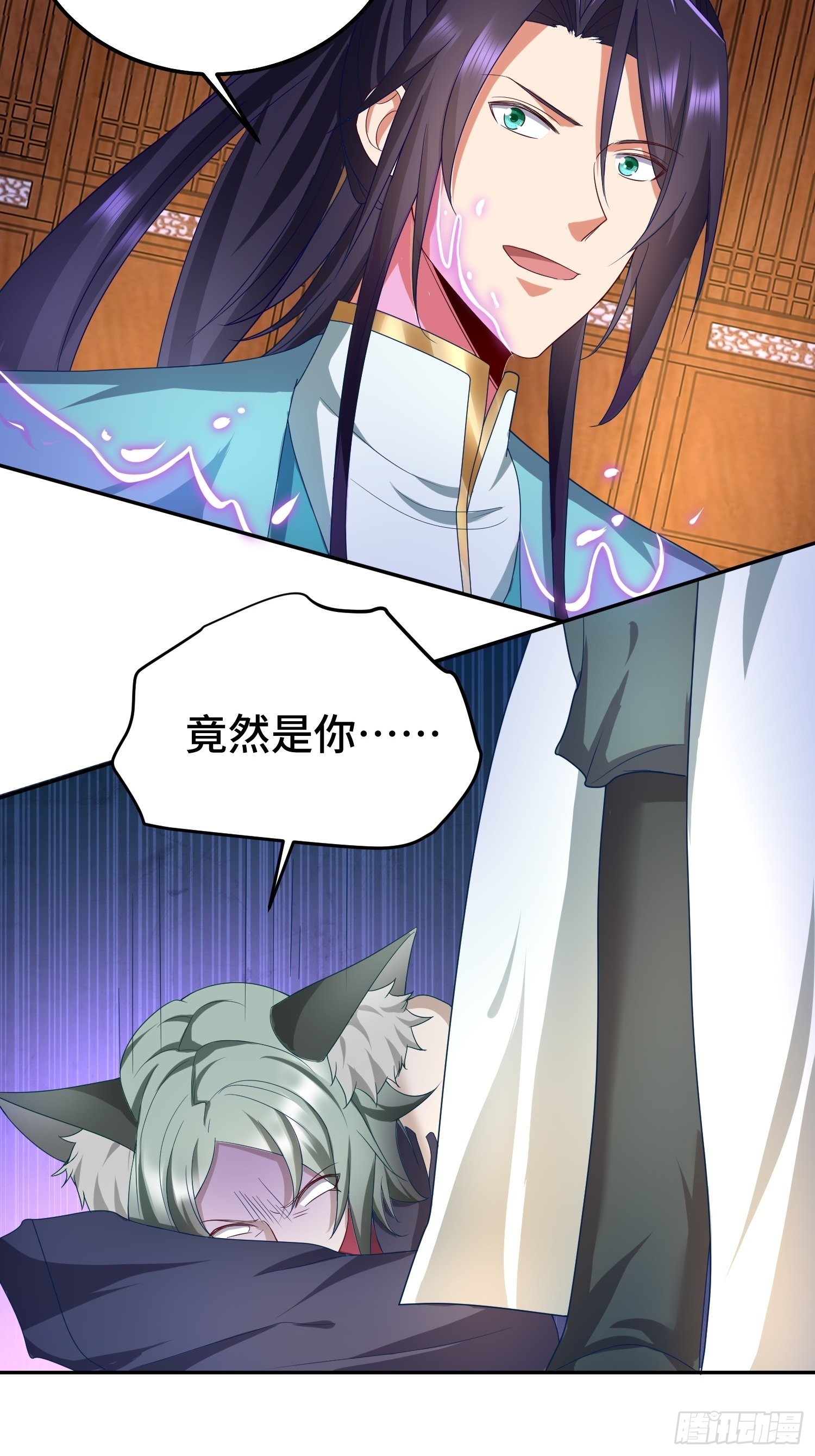 狸猫换太子23