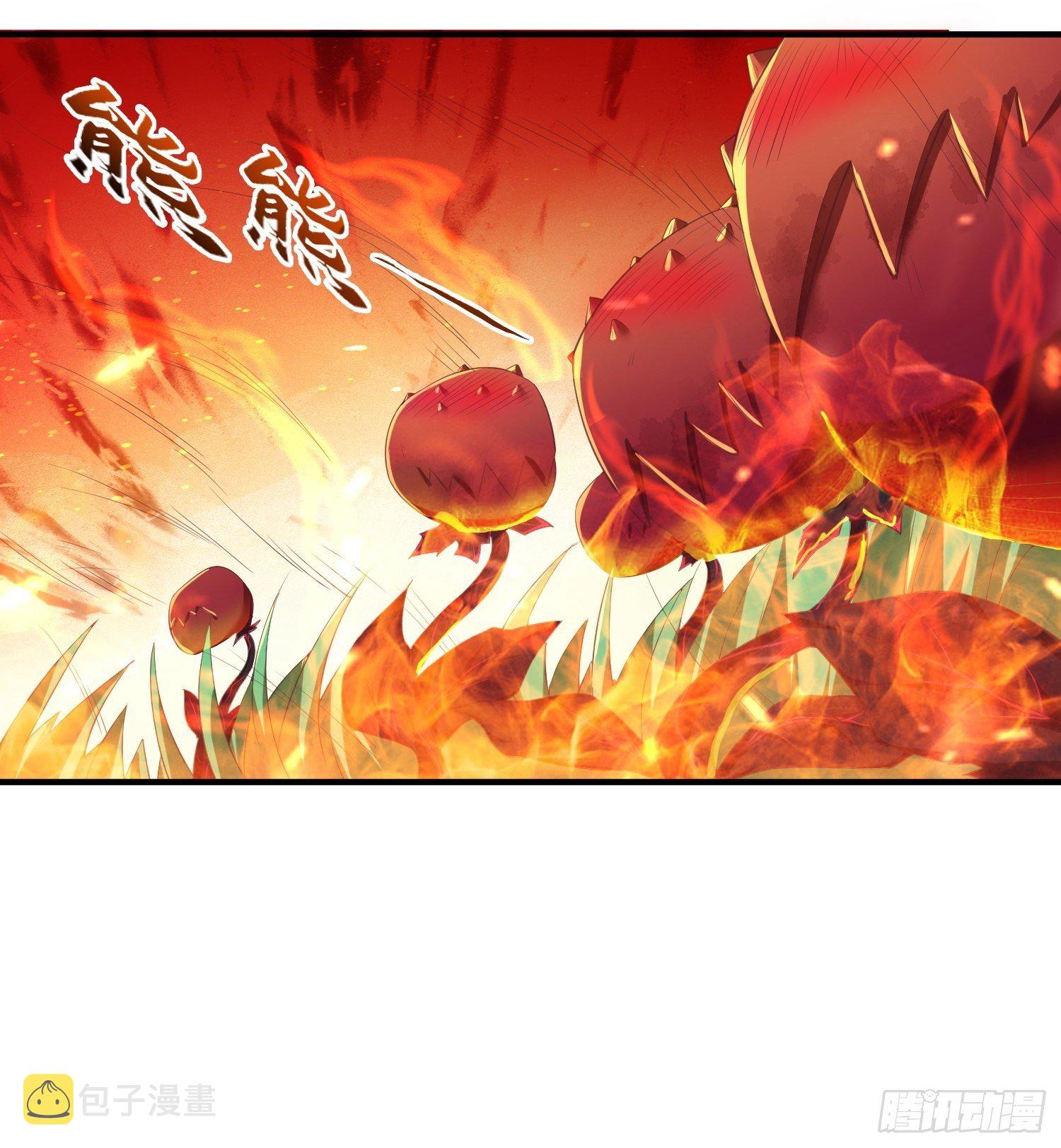 花海20