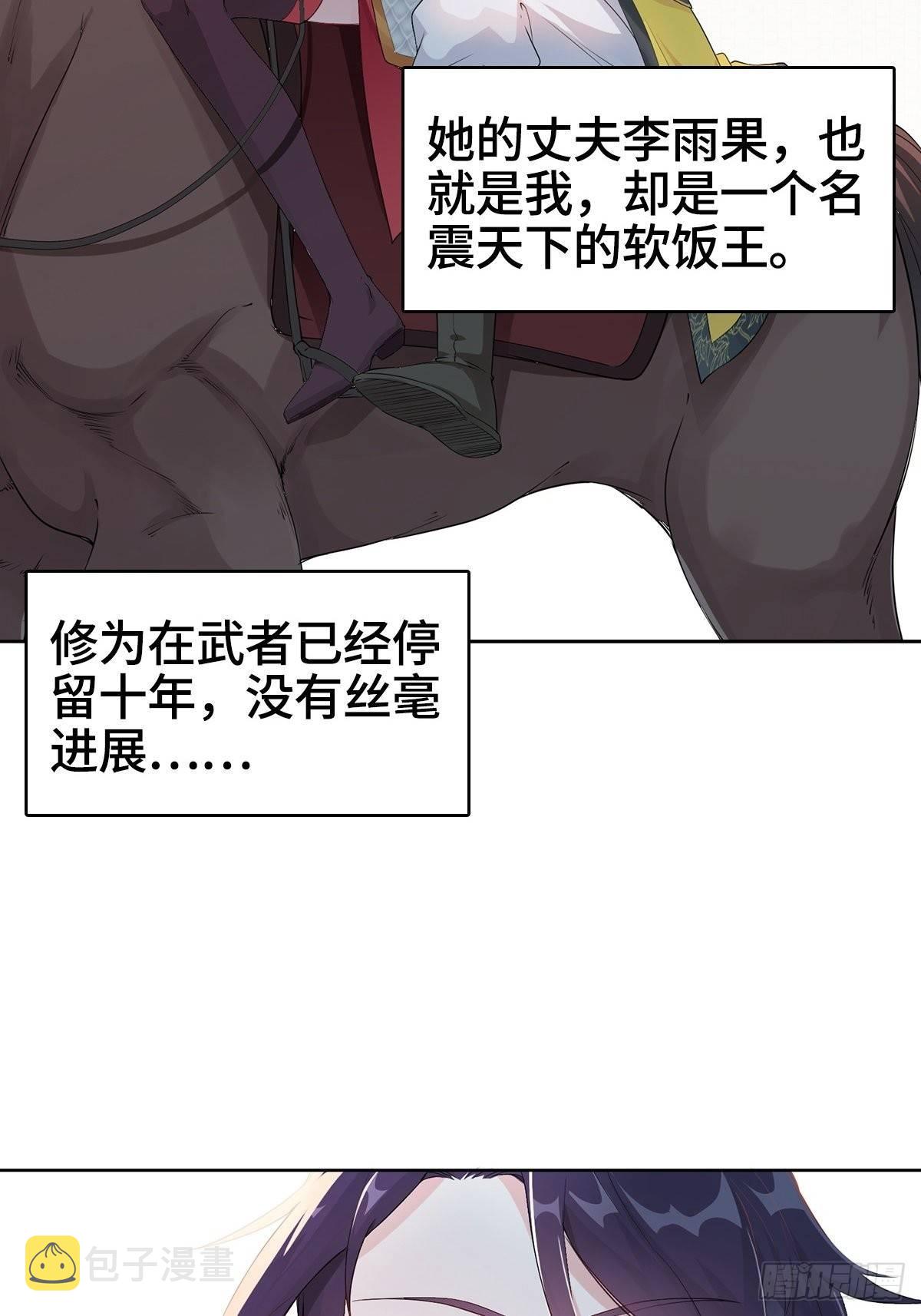 纳兰城的软饭王14
