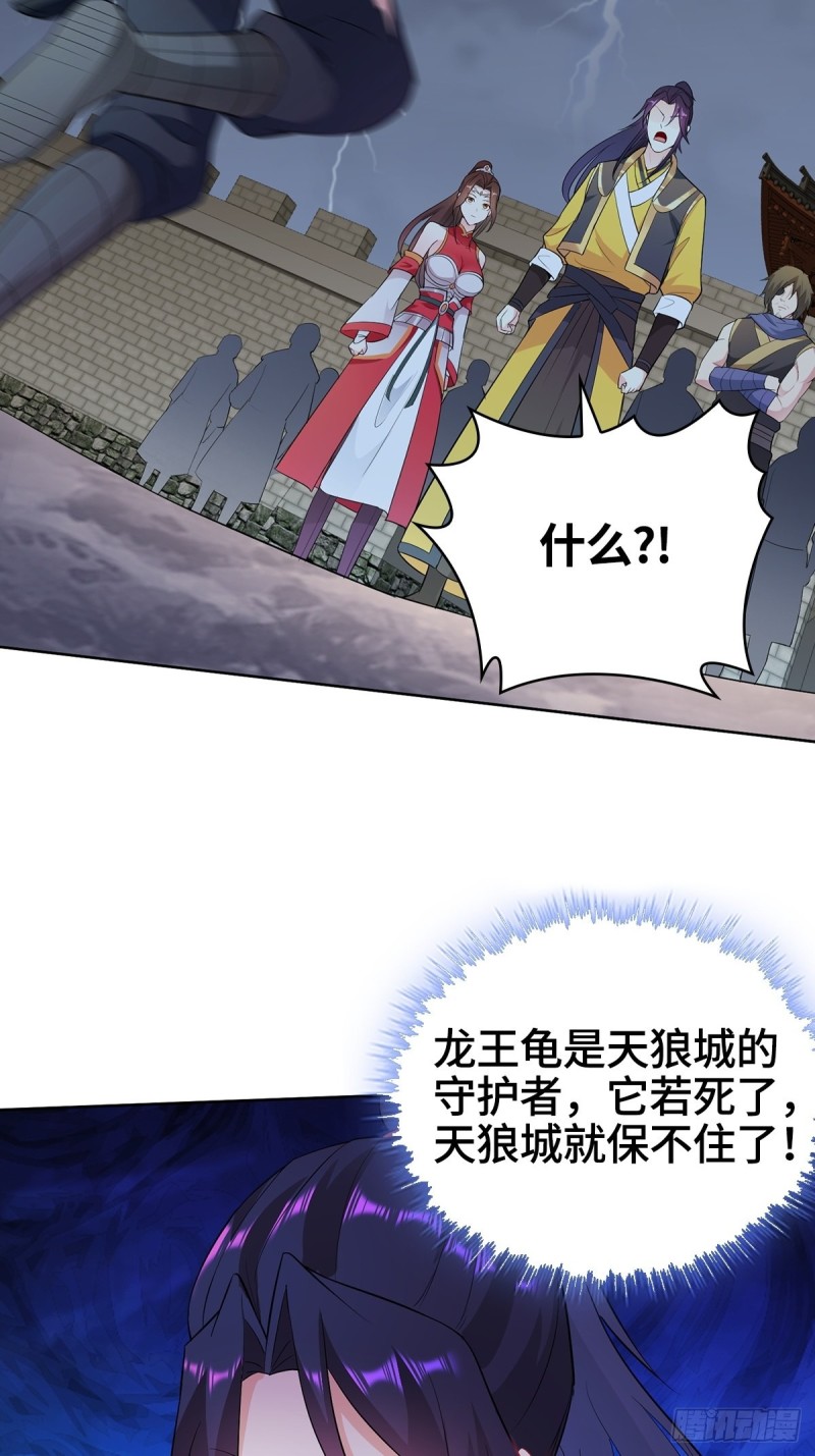 援救龙王龟29