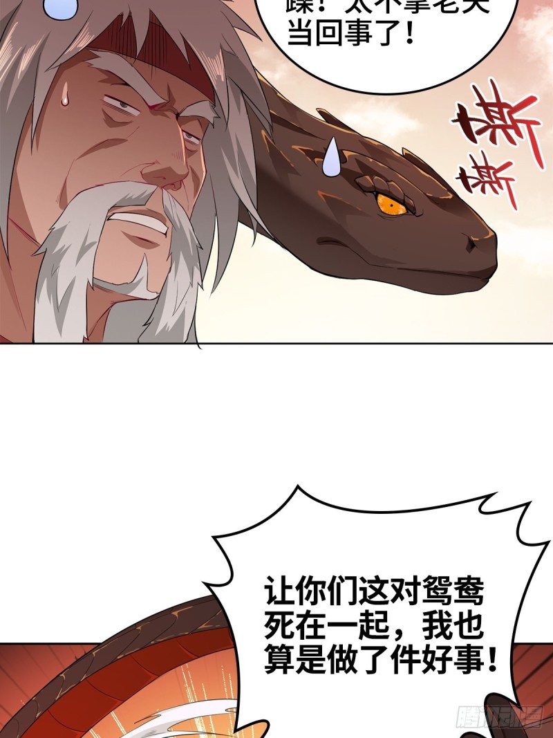 比翼双飞29