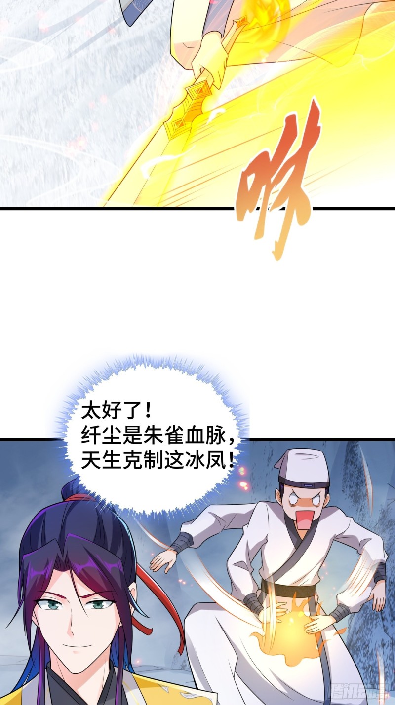 雪原冰凤23