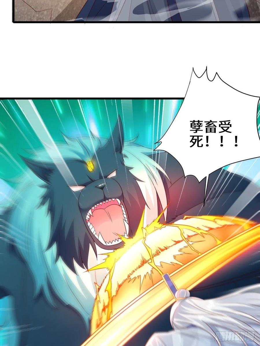撤军回金17